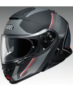 NEOTEC-II-EXCURSION-TC-5